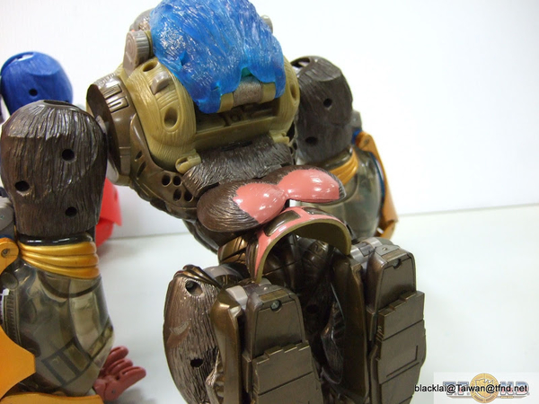 Year Of The Monkey Optimus Primal Out Of Box Show Platinum Edition Compared With Original  (39 of 50)